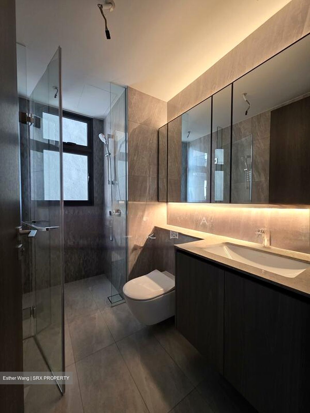 Piccadilly Grand (D8), Apartment #502100791